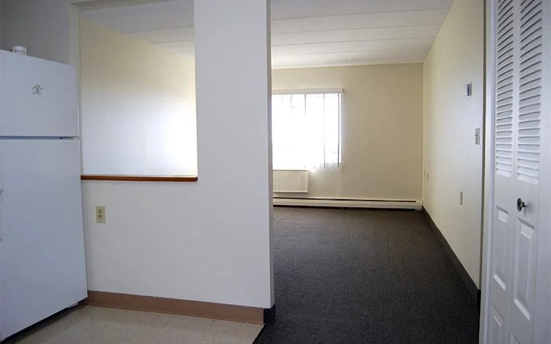 20 Kelly St Property Photo 6