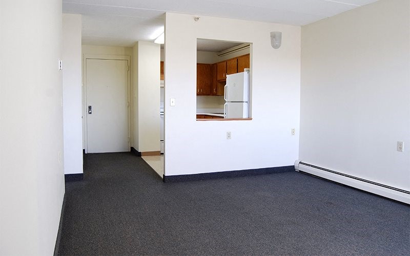 20 Kelly St Property Photo 7