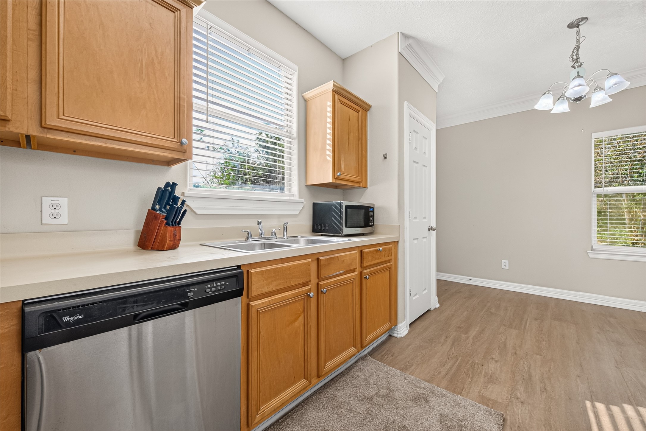 10355 Panther Point Drive Property Photo 19