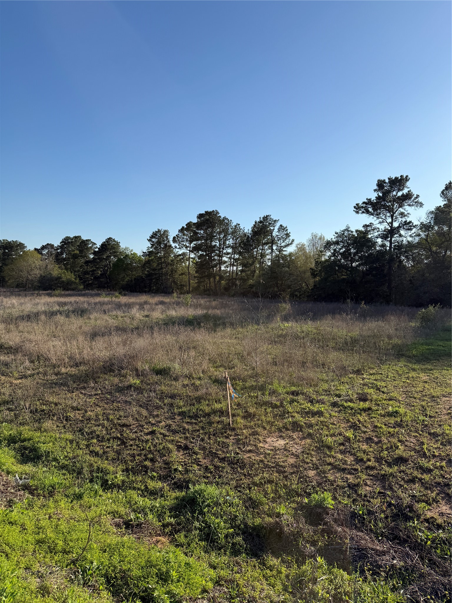 9480 Cedar Creek Lane Property Photo 2