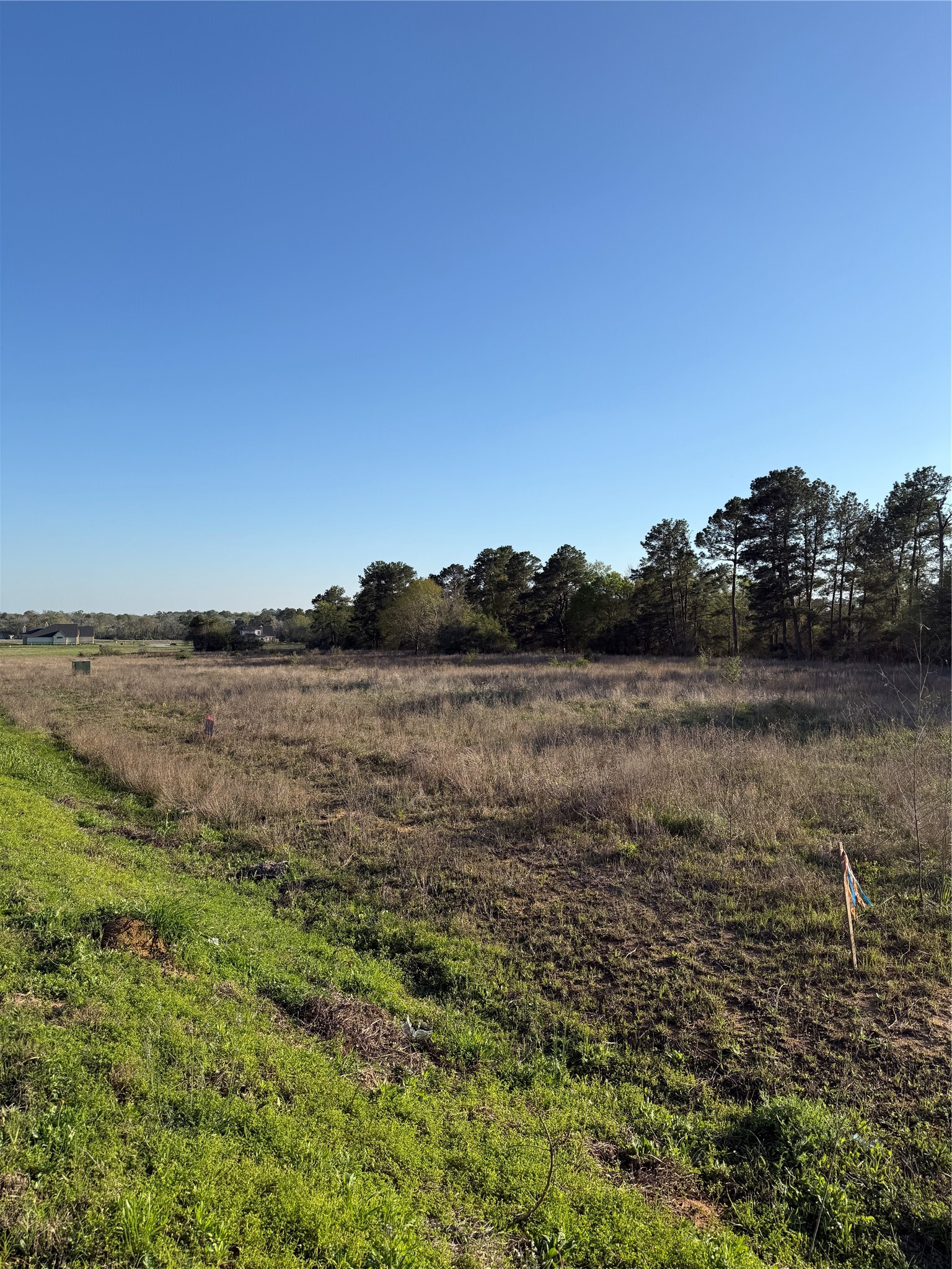 9480 Cedar Creek Lane Property Photo 3