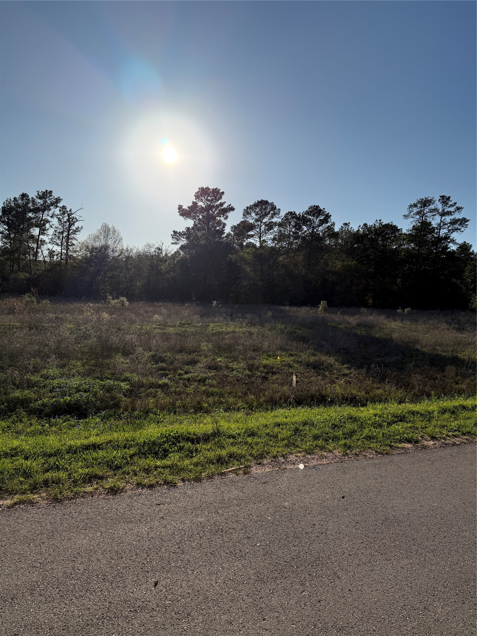 9480 Cedar Creek Lane Property Photo 4