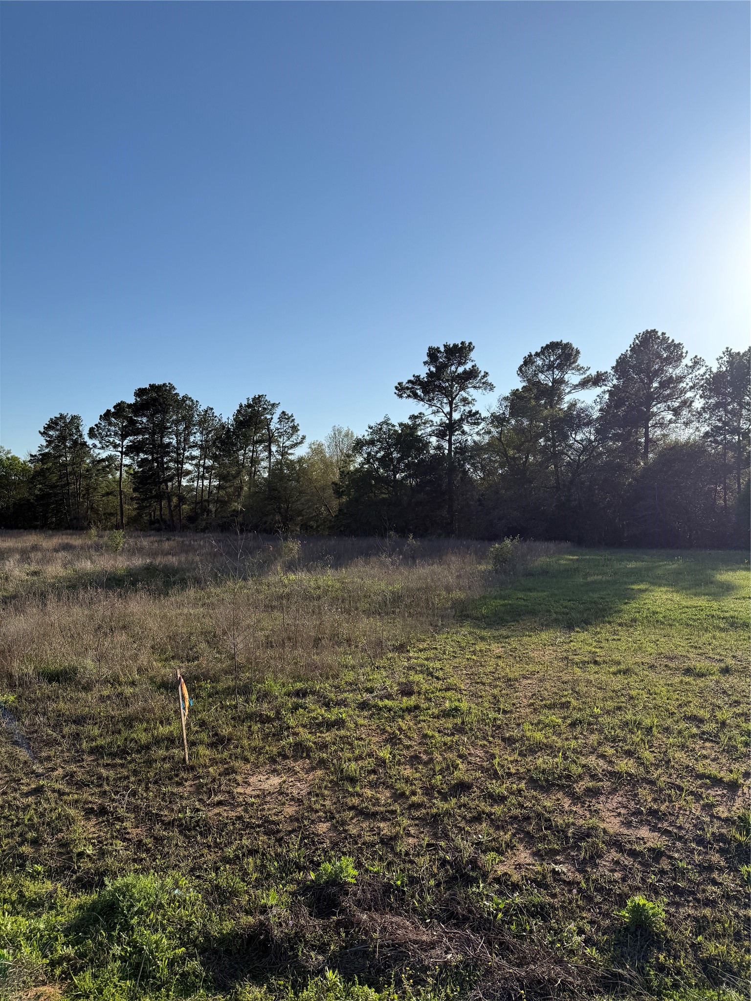 9480 Cedar Creek Lane Property Photo 5