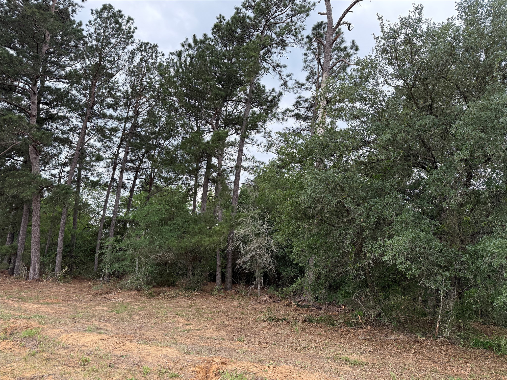 9480 Cedar Creek Lane Property Photo 8