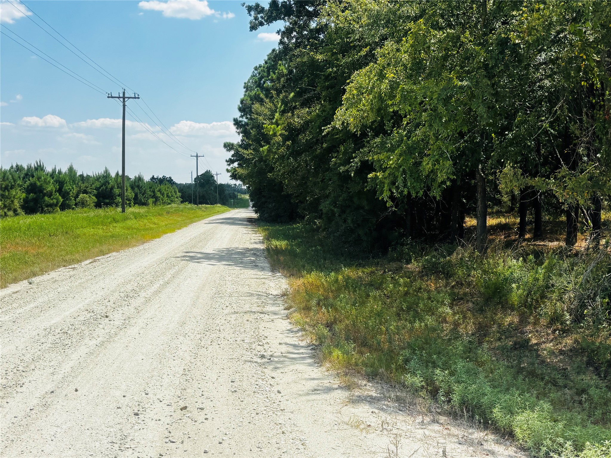 Tbd Trinity Trail Property Photo 4
