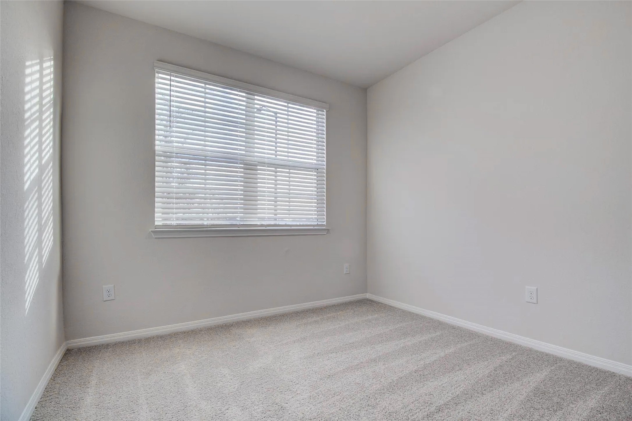 228 Sunniberg Loop Property Photo 15