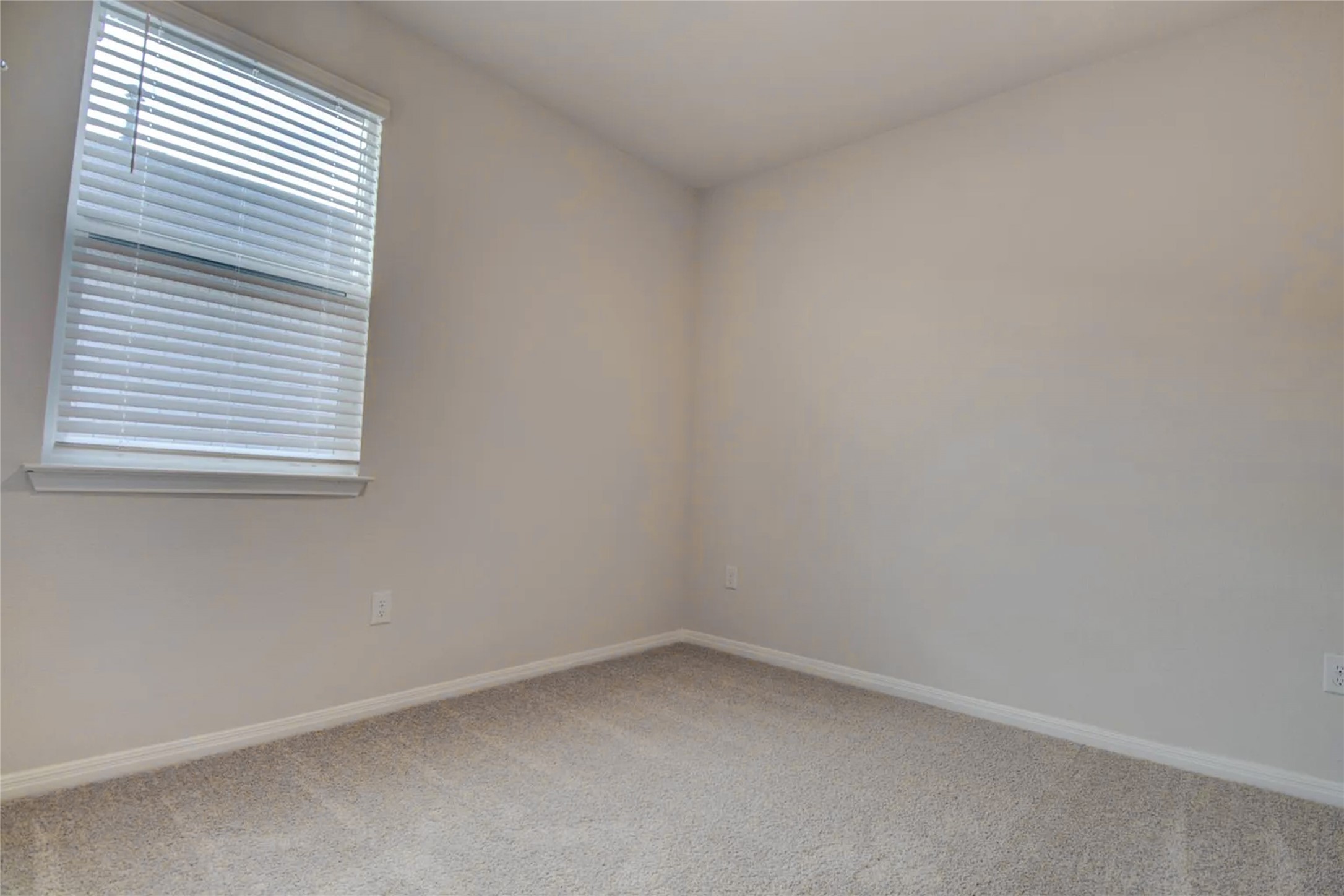 228 Sunniberg Loop Property Photo 16