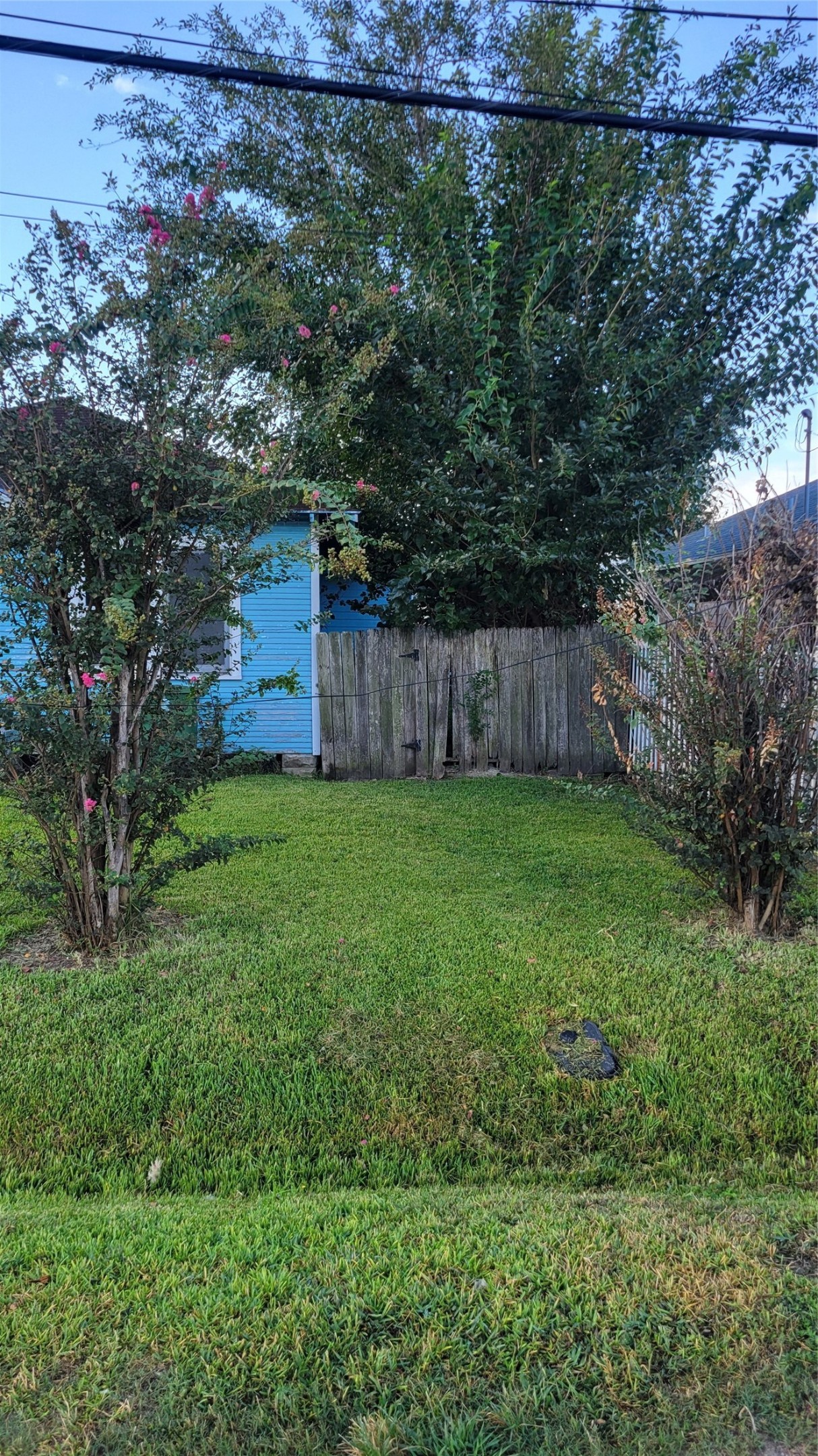 203 Coronado Street Property Photo 8