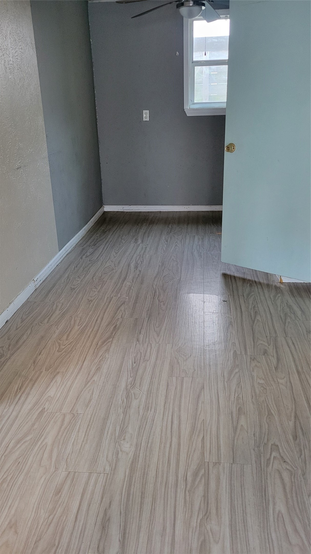 203 Coronado Street Property Photo 11