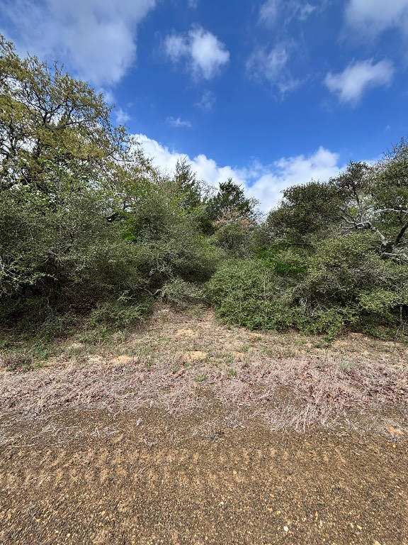 Tbd Holly Springs Drive Property Photo 4