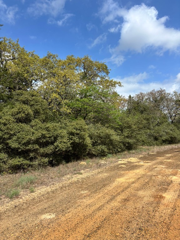 Tbd Holly Springs Drive Property Photo 6