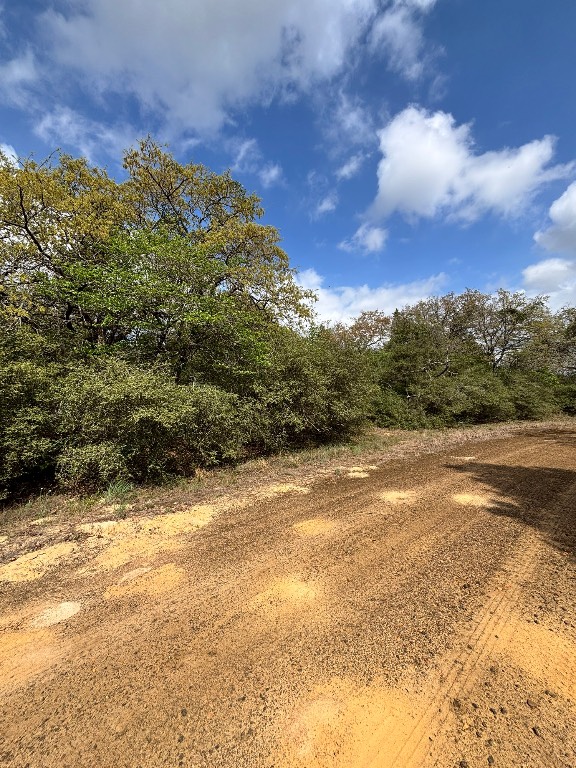 Tbd Holly Springs Drive Property Photo 8