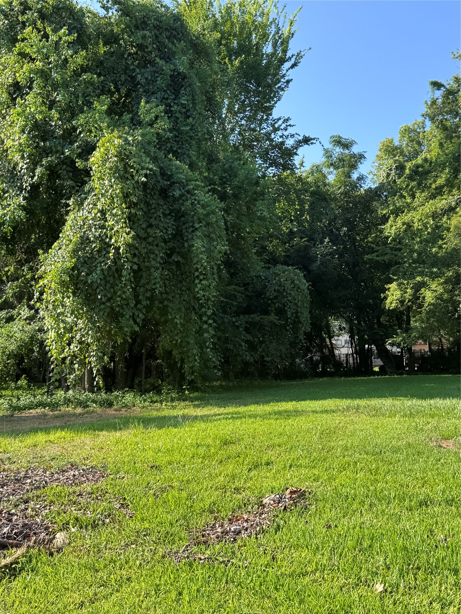 910 Sherman Street Property Photo 1