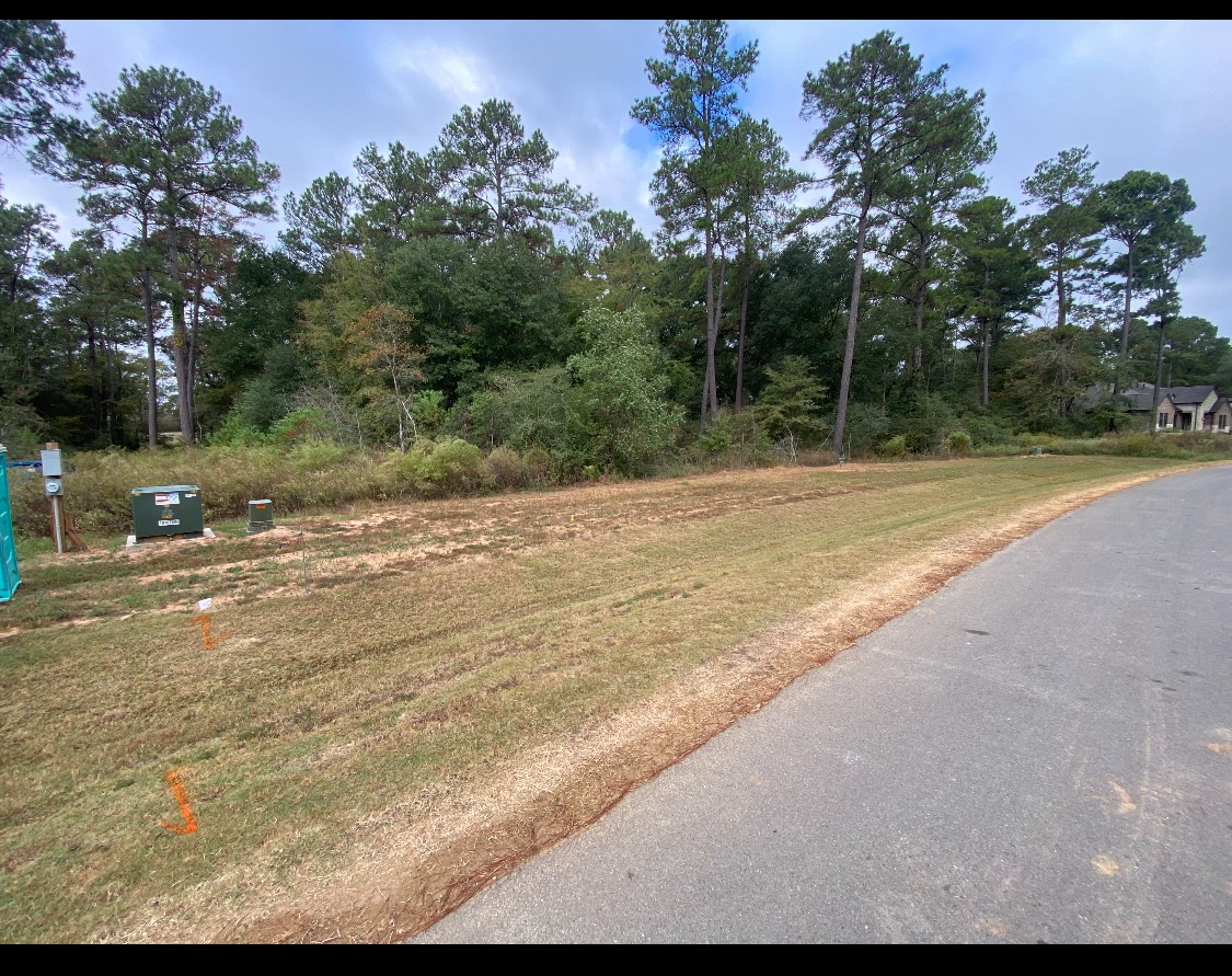 9304 Cedar Bnd Court Property Photo 4