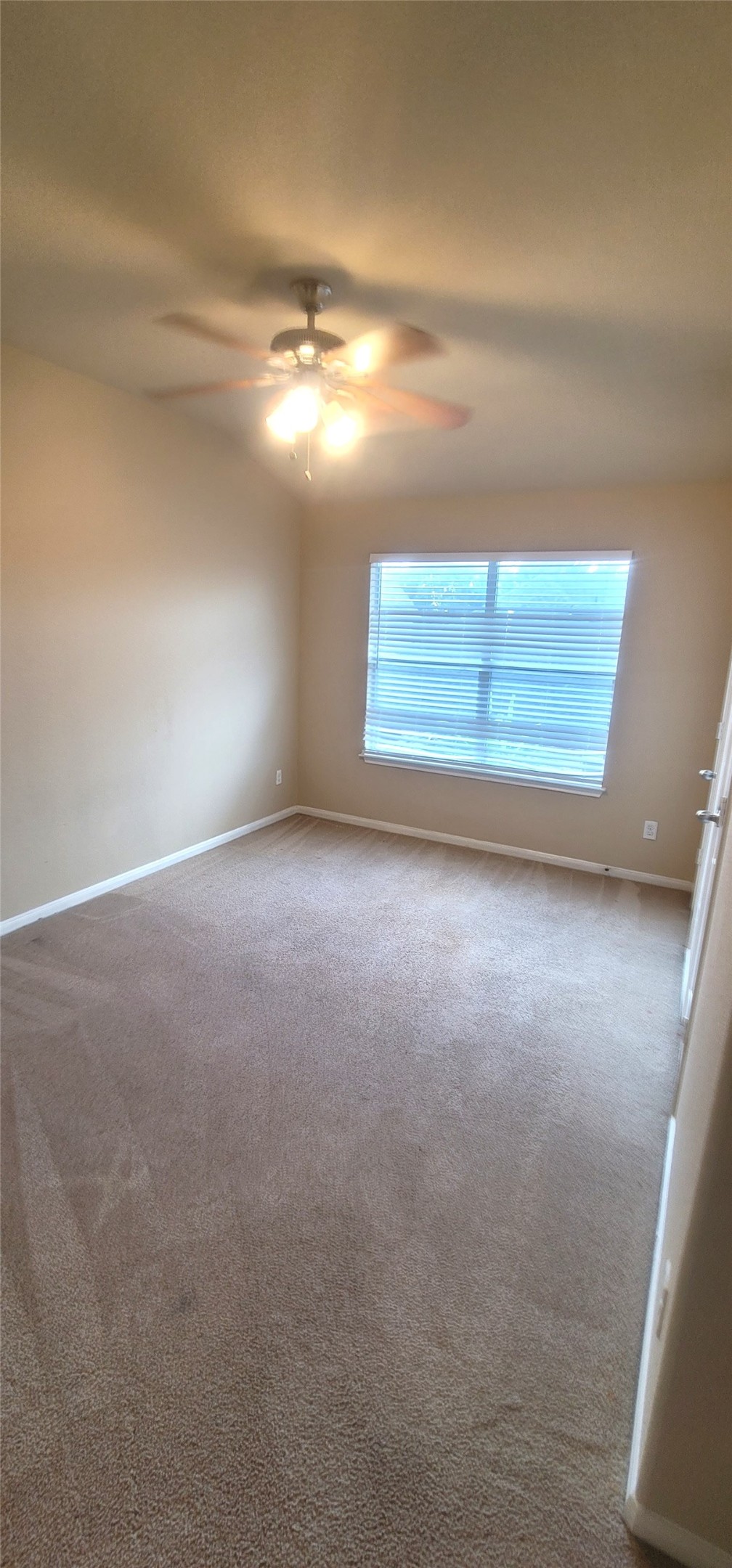 6023 Schaumburg Drive Property Photo 12