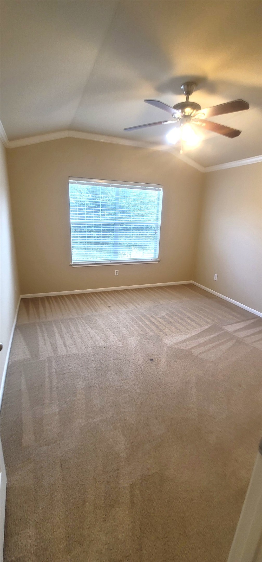 6023 Schaumburg Drive Property Photo 14