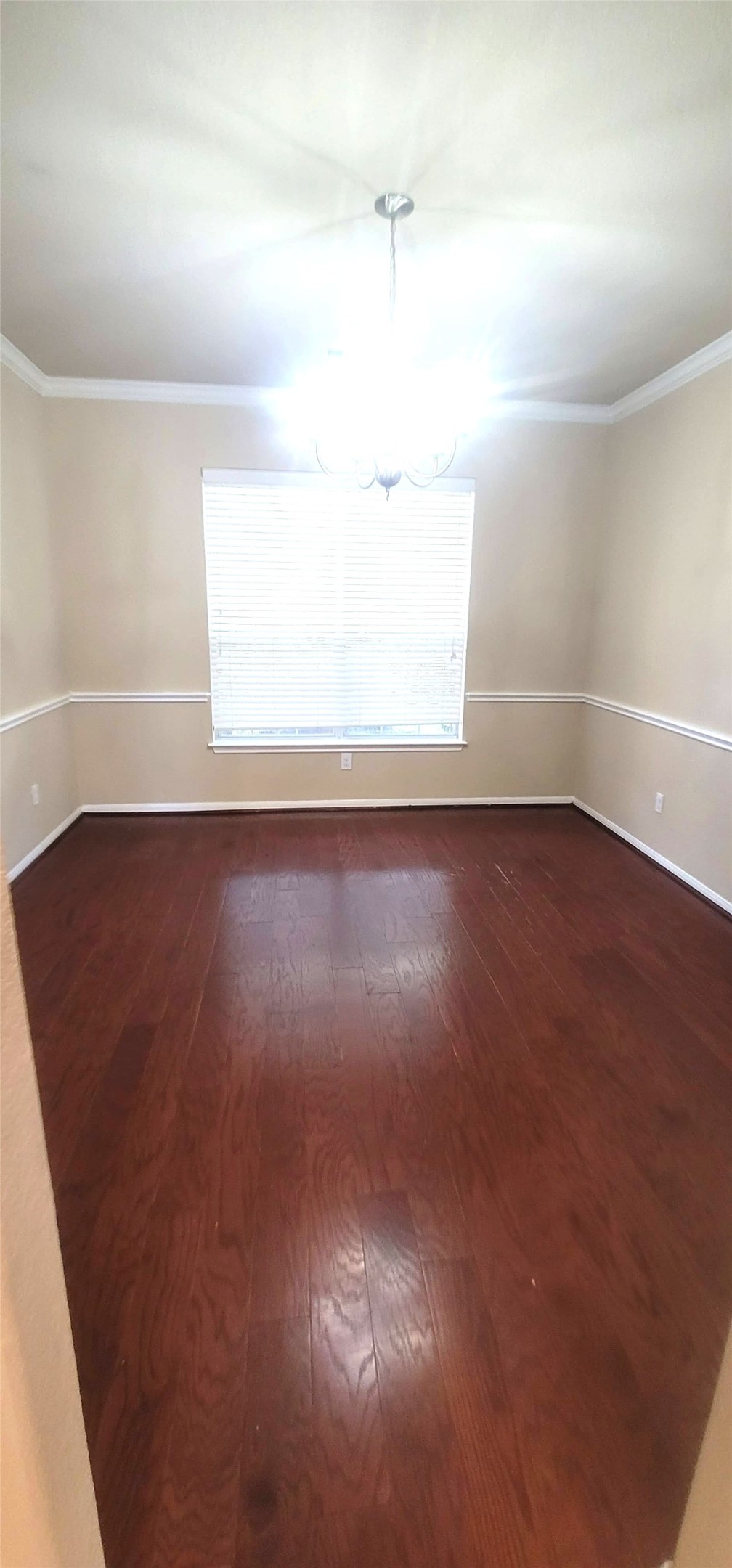 6023 Schaumburg Drive Property Photo 20