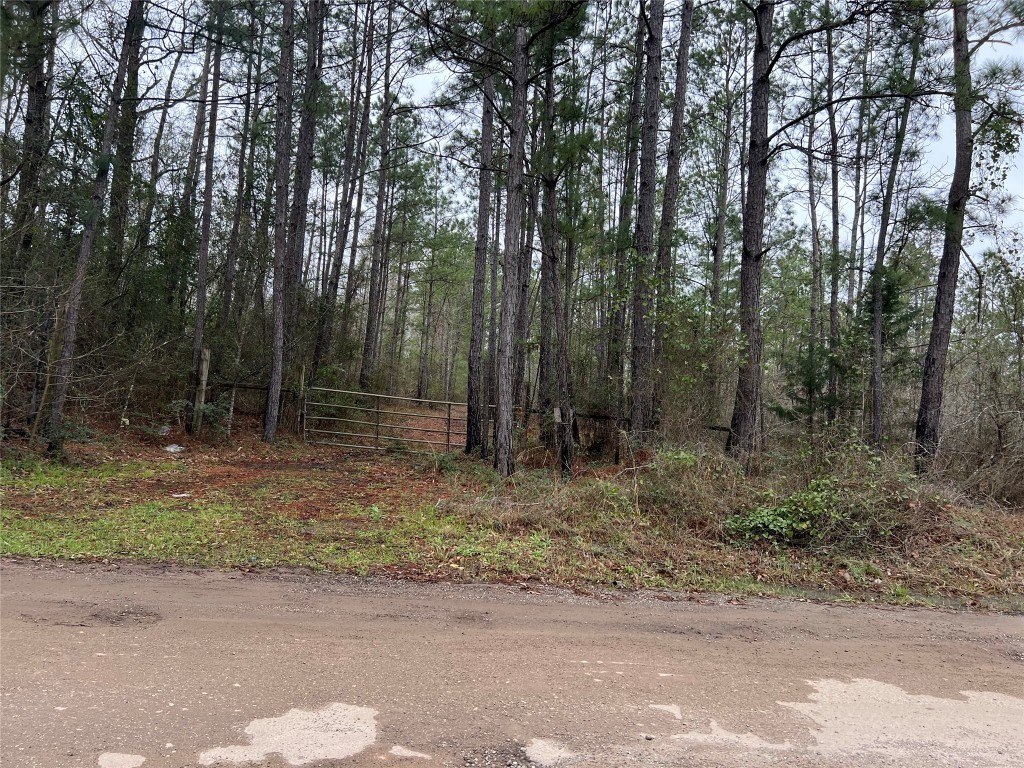 Tbd Lee Turner Road Property Photo 2
