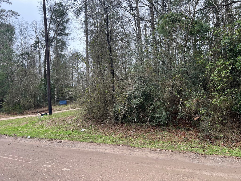 Tbd Lee Turner Road Property Photo 4