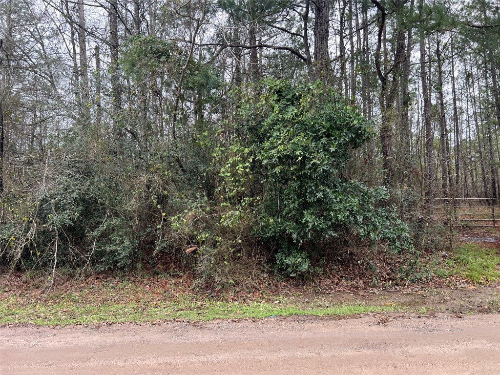 Tbd Lee Turner Road Property Photo 5