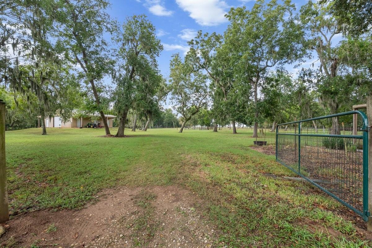 1303 China Grove Drive Property Photo 36