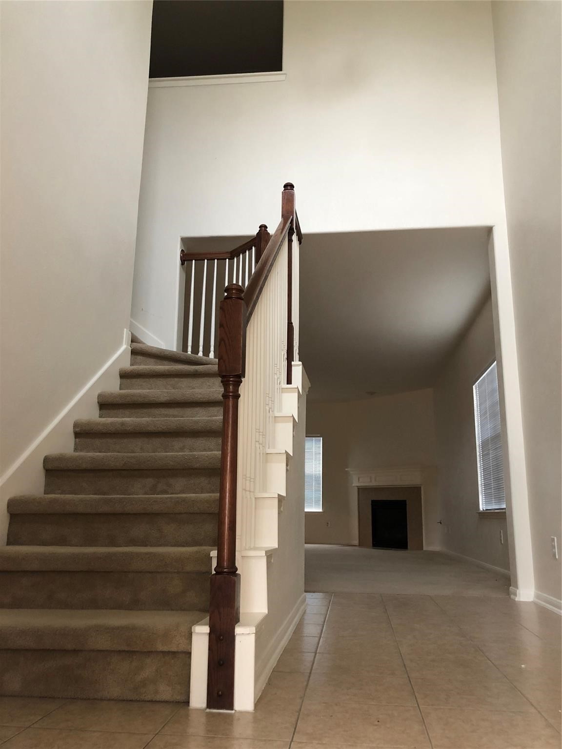 11118 Northam Drive Property Photo 8