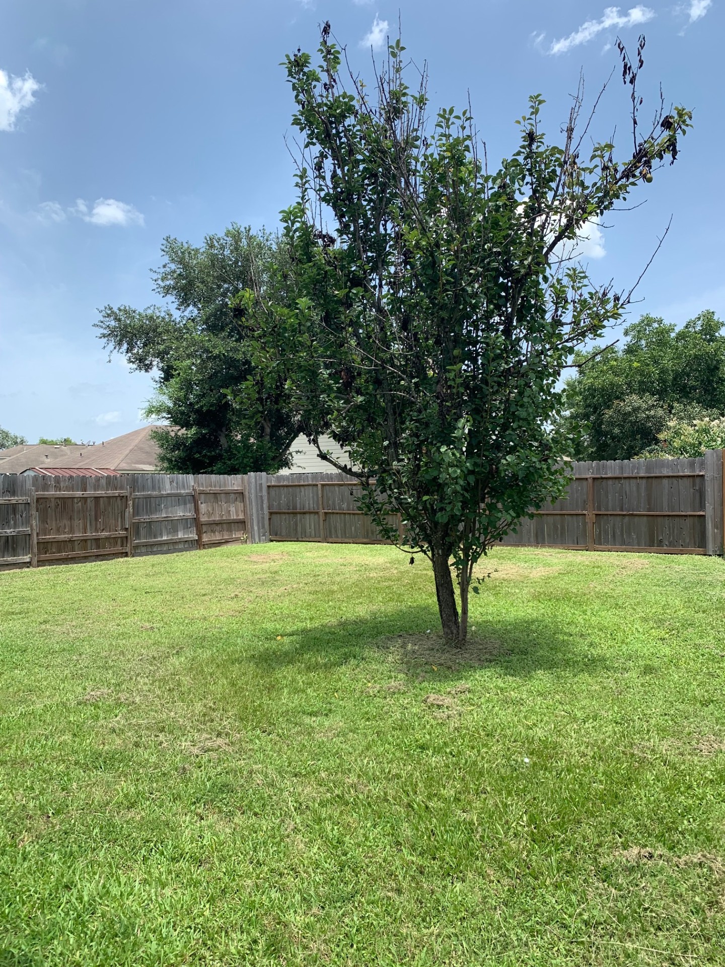 11118 Northam Drive Property Photo 16