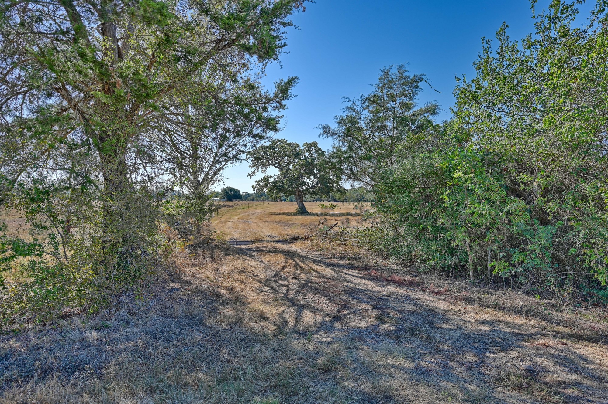 Tbd Ullrich Road Property Photo 1