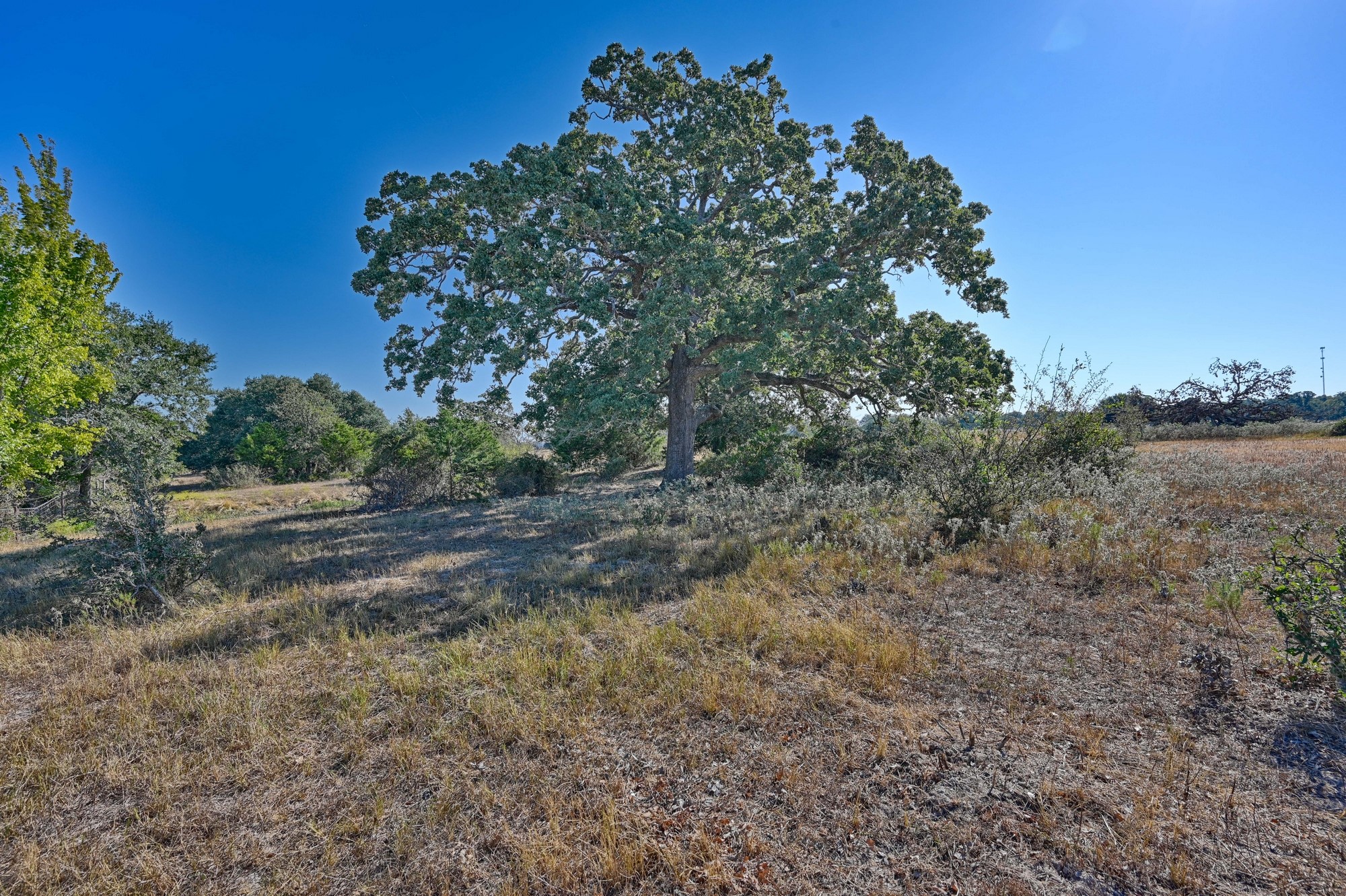 Tbd Ullrich Road Property Photo 21