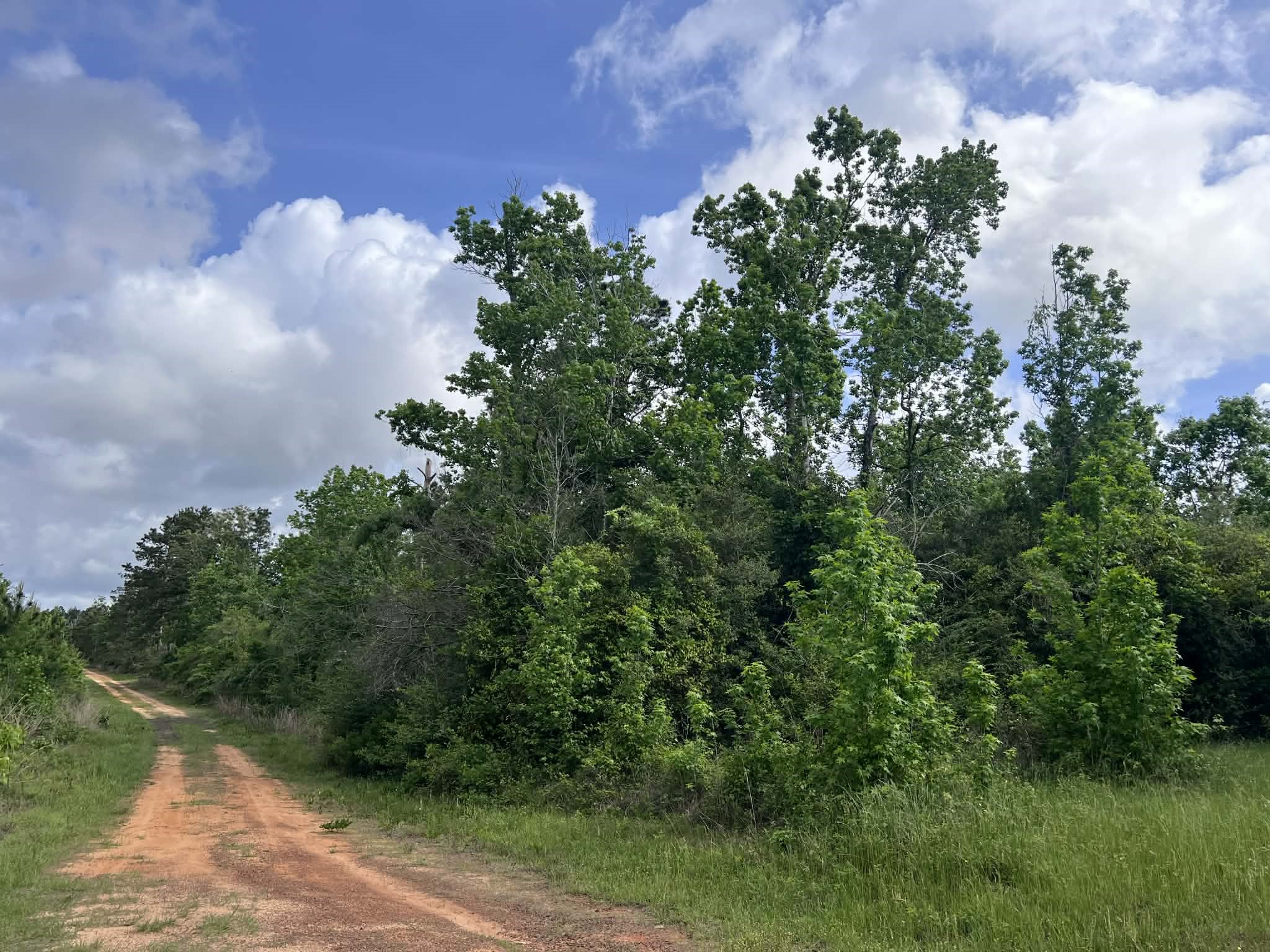 000 County Road 2041 Property Photo 1