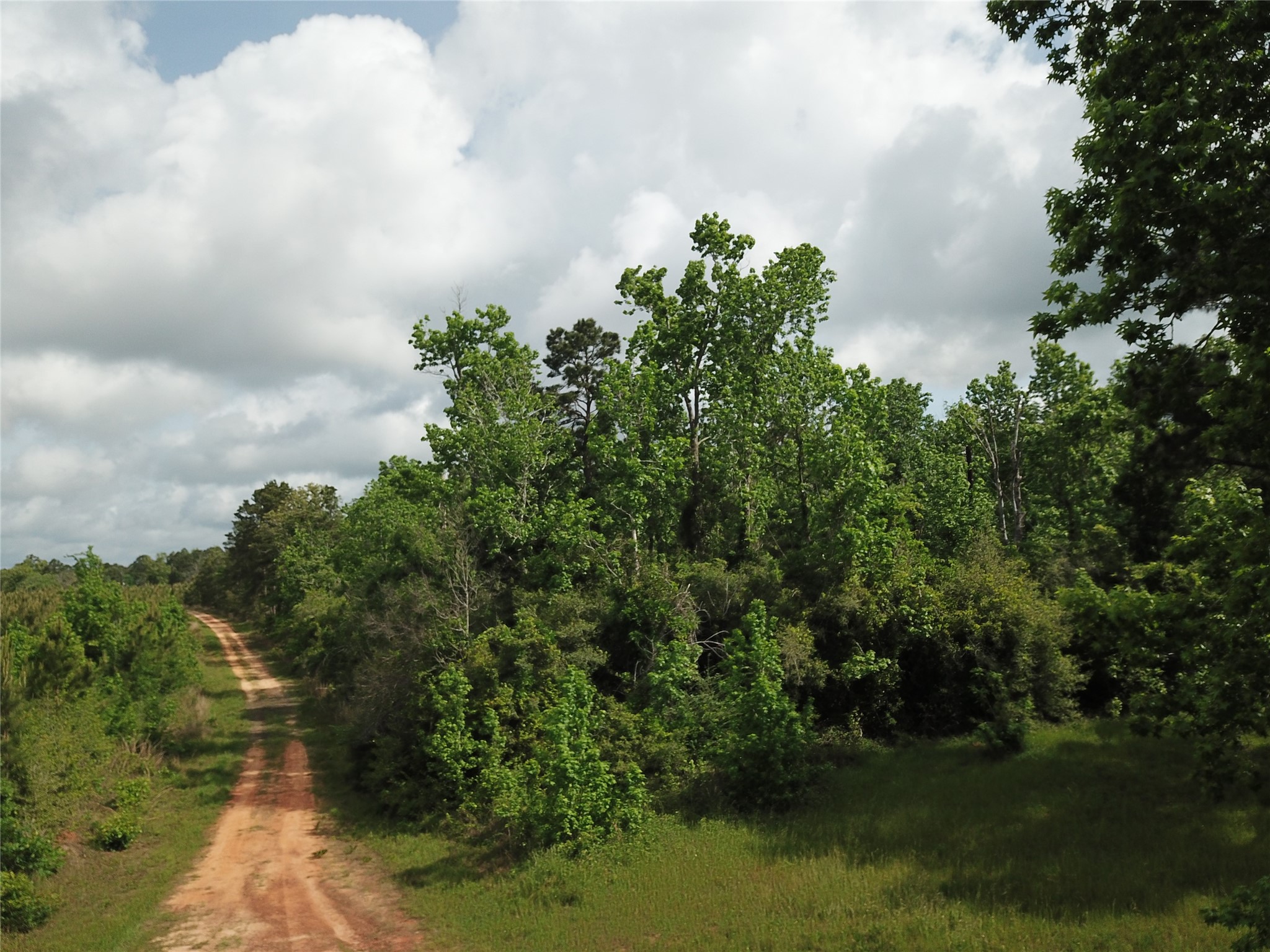 000 County Road 2041 Property Photo 3