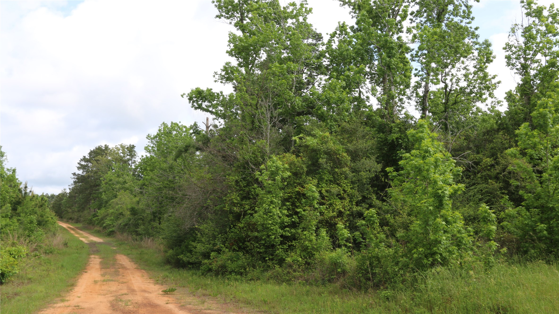 000 County Road 2041 Property Photo 6