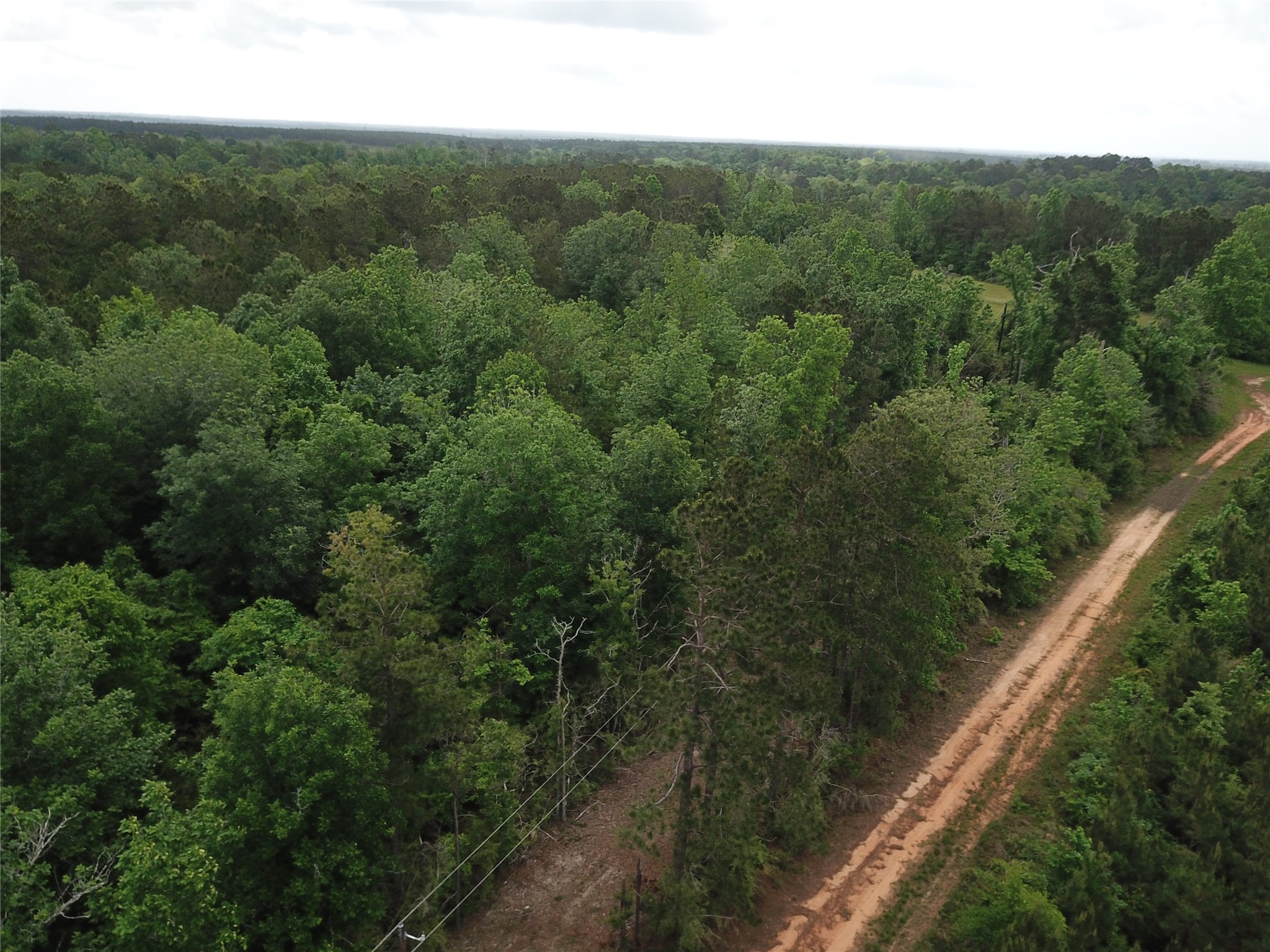 000 County Road 2041 Property Photo 8