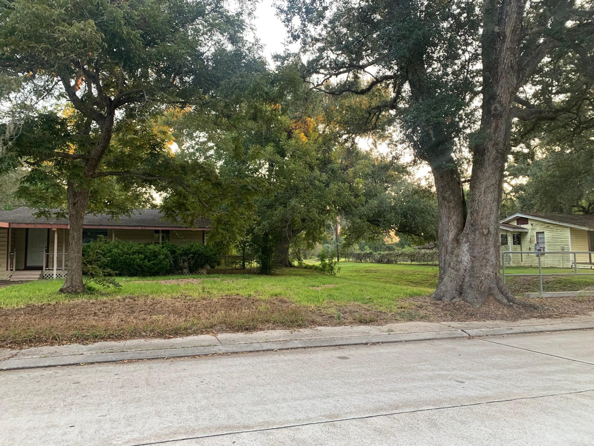 215 Jasmine Street Property Photo 3