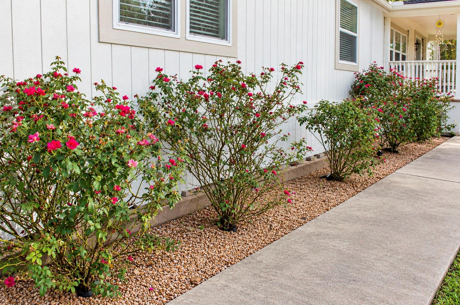 25111 Alamoway Property Photo 31