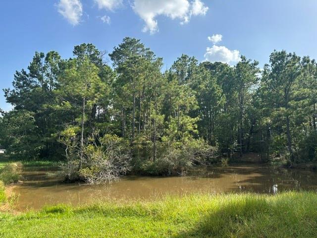 25111 Alamoway Property Photo 36
