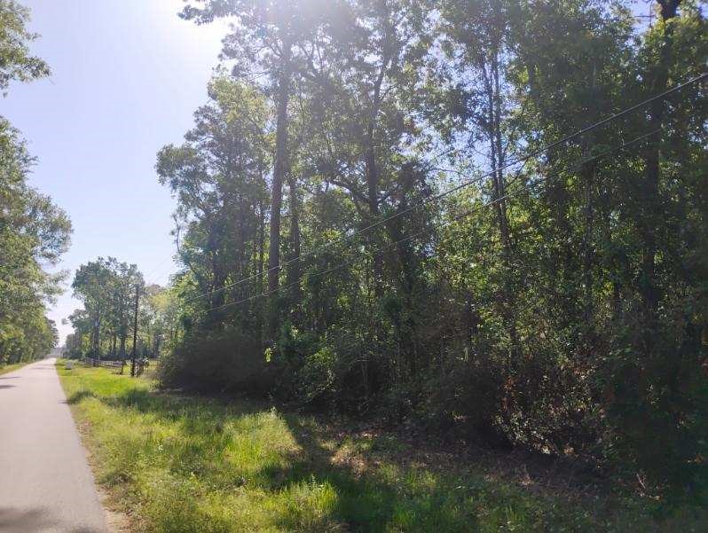 0 Calhoun Property Photo