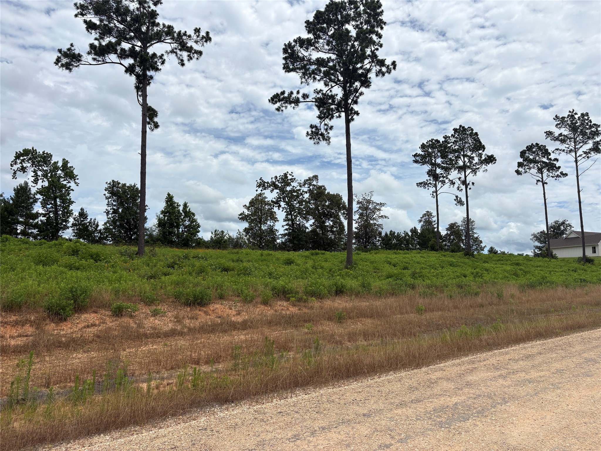 Lot 277 Tranquility Road Property Photo 3