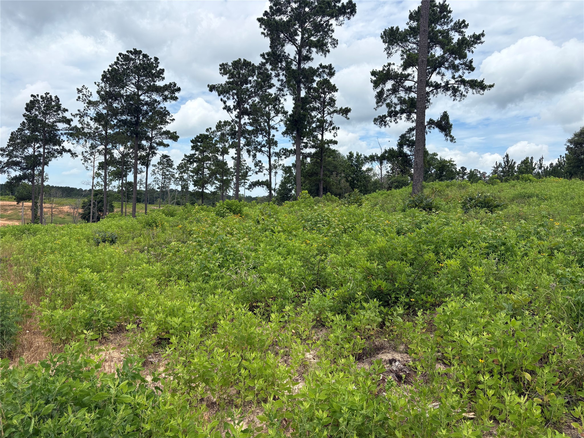Lot 277 Tranquility Road Property Photo 4