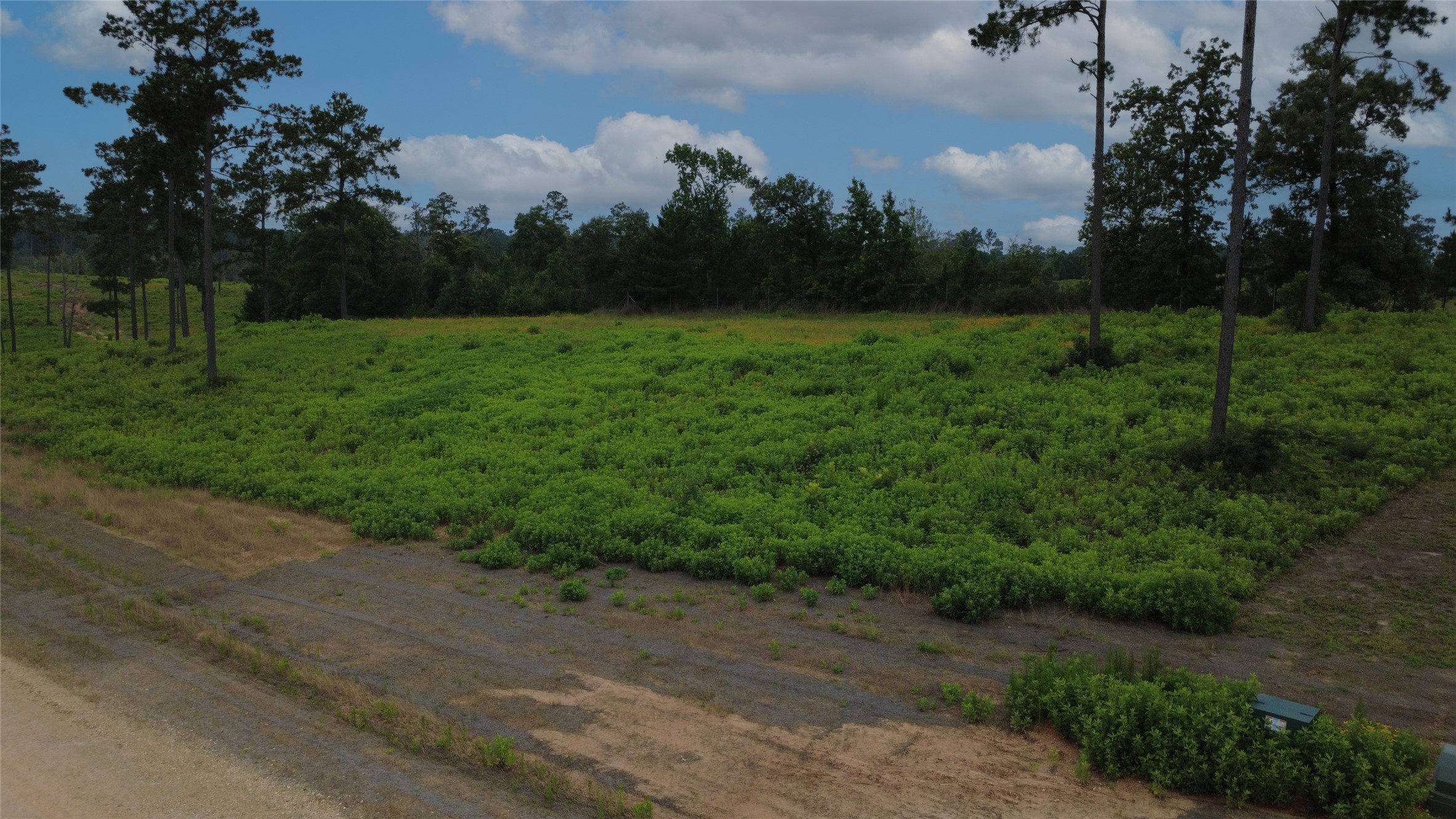 Lot 277 Tranquility Road Property Photo 6