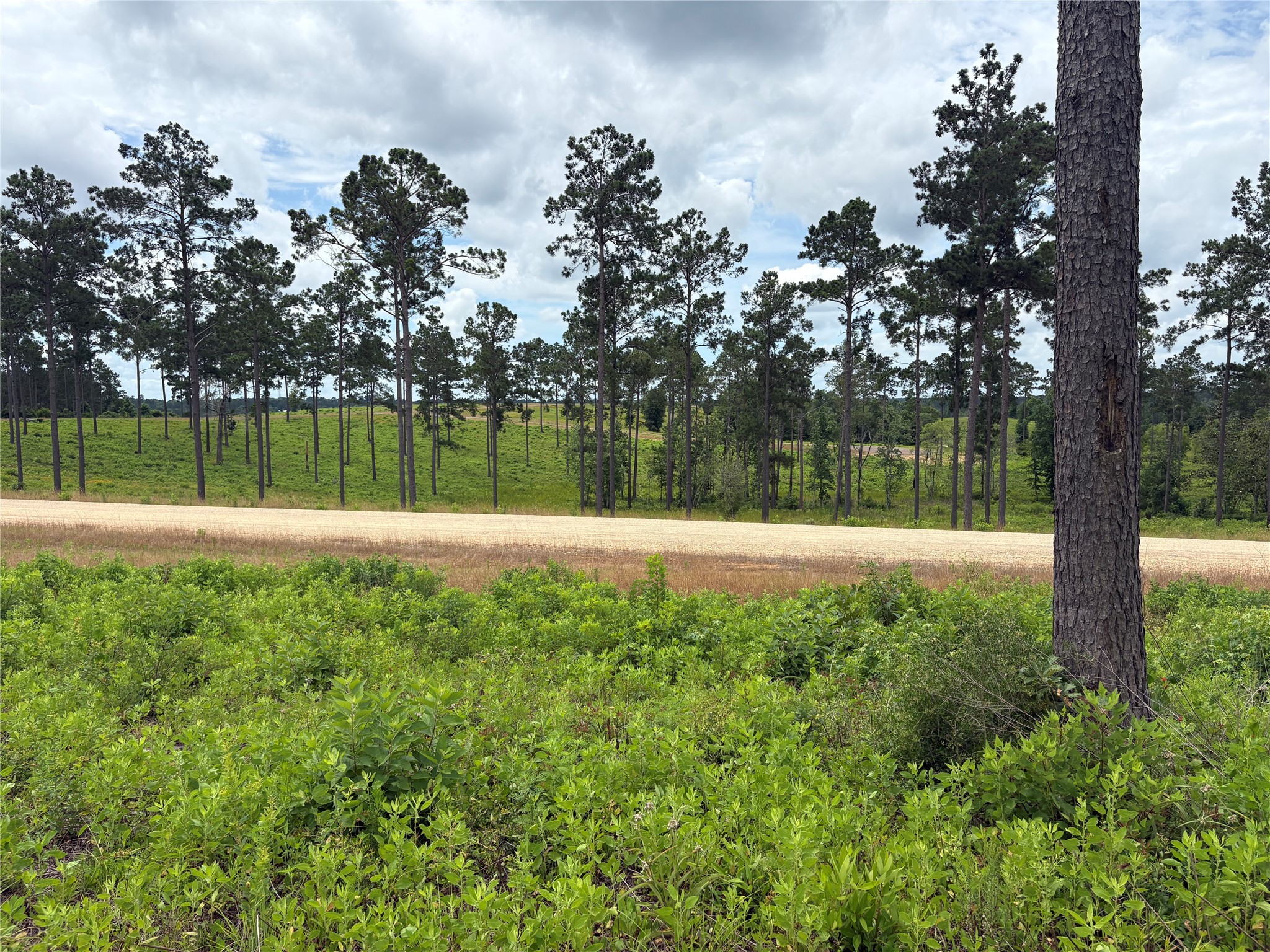 Lot 277 Tranquility Road Property Photo 7