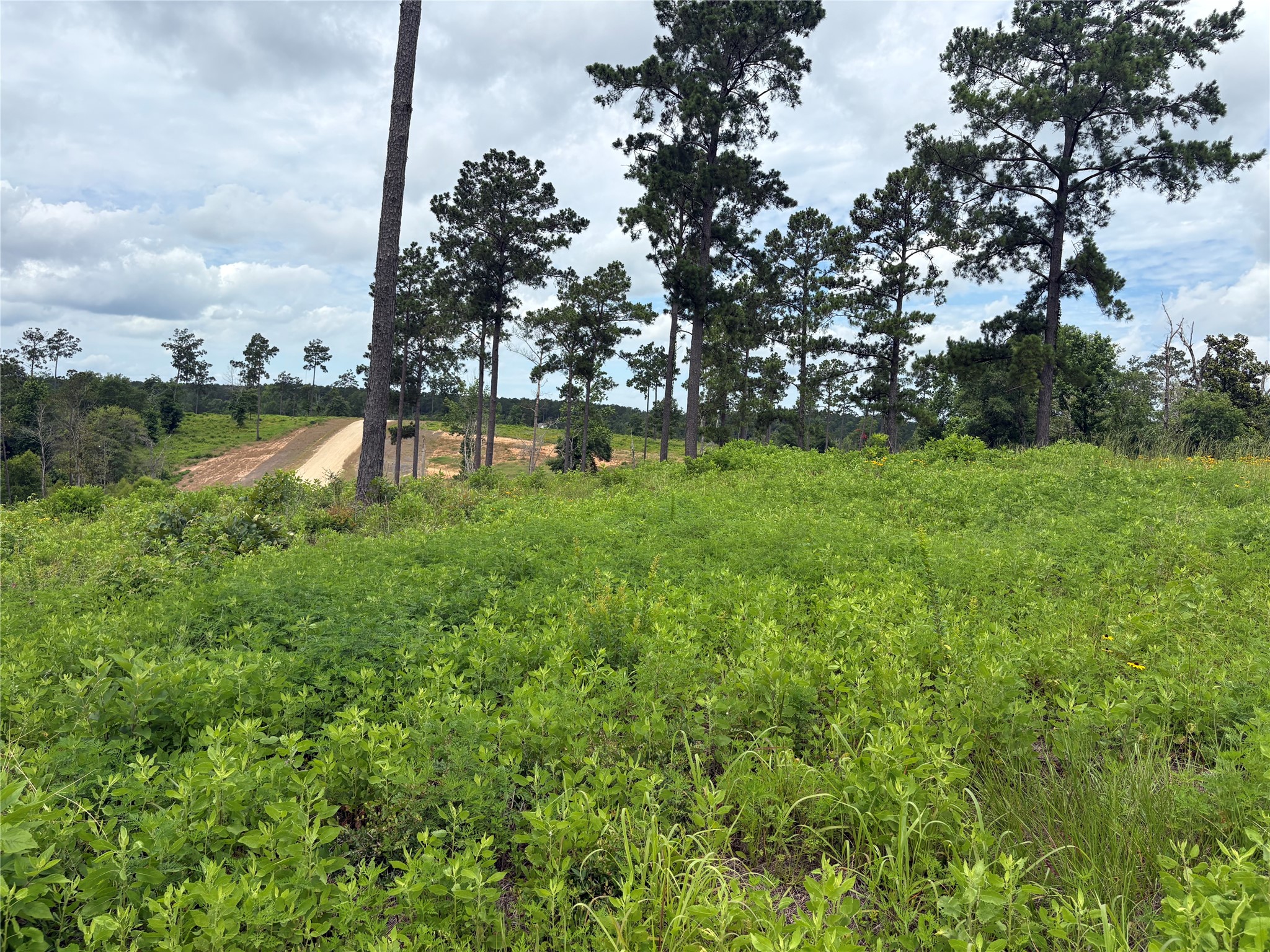 Lot 277 Tranquility Road Property Photo 8