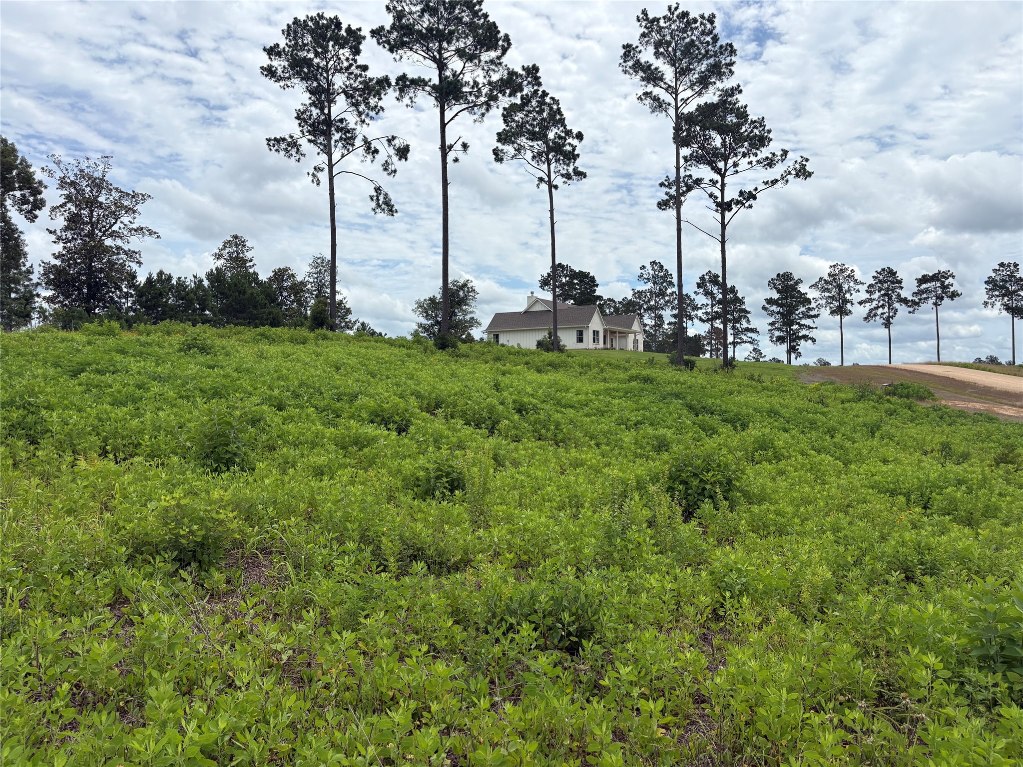 Lot 277 Tranquility Road Property Photo 9