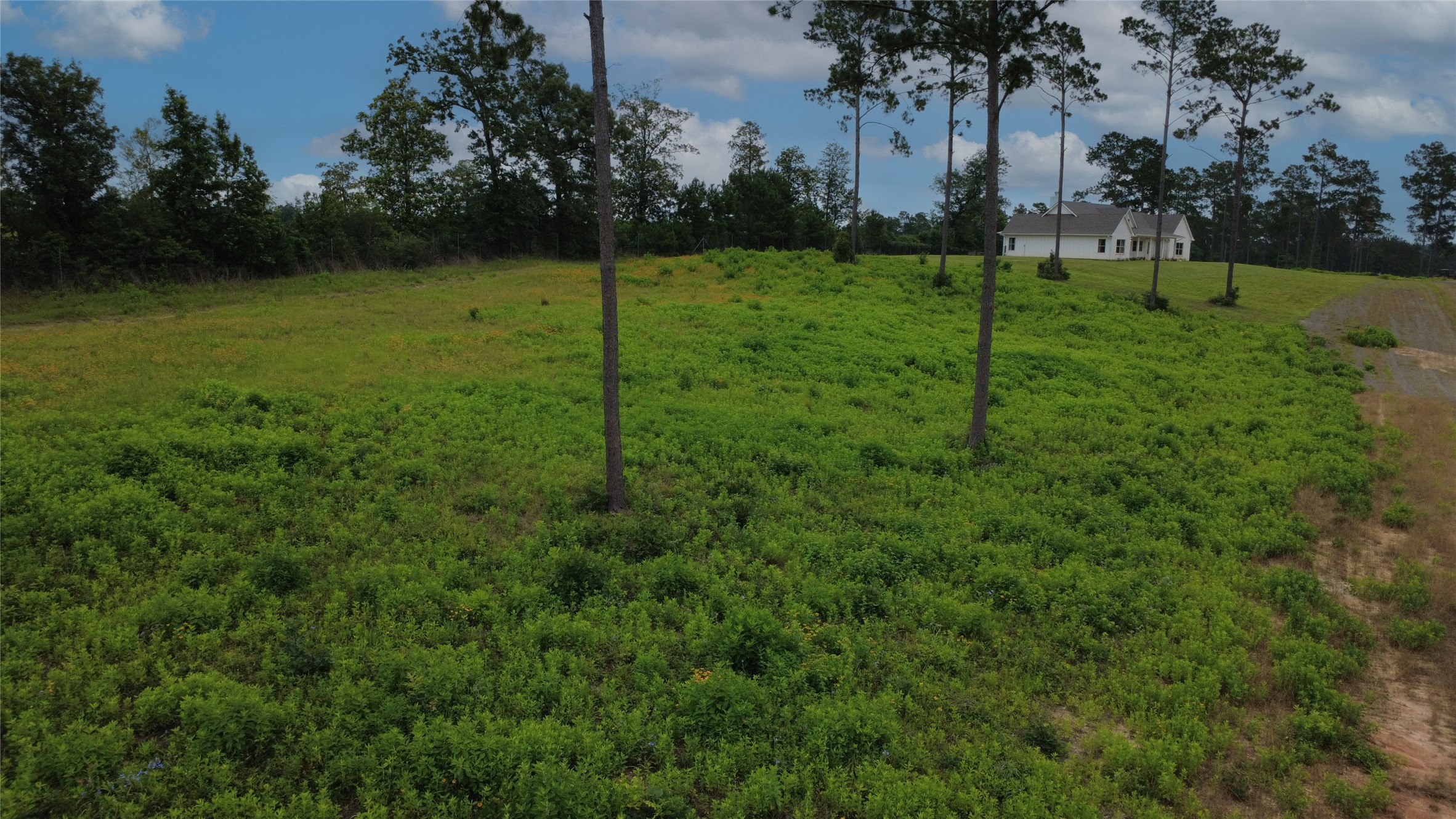 Lot 277 Tranquility Road Property Photo 12