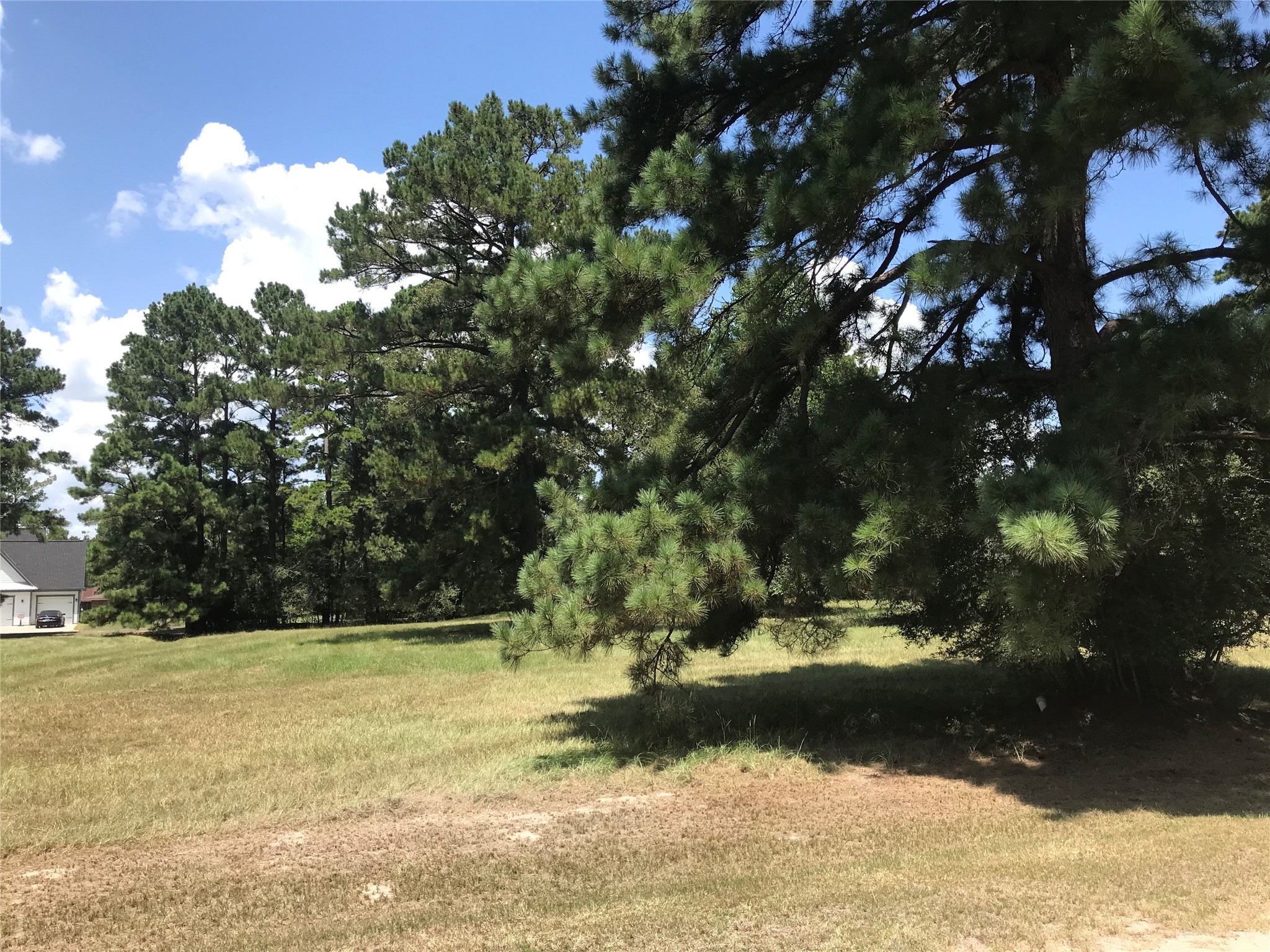 12 Cedar Springs Property Photo 3
