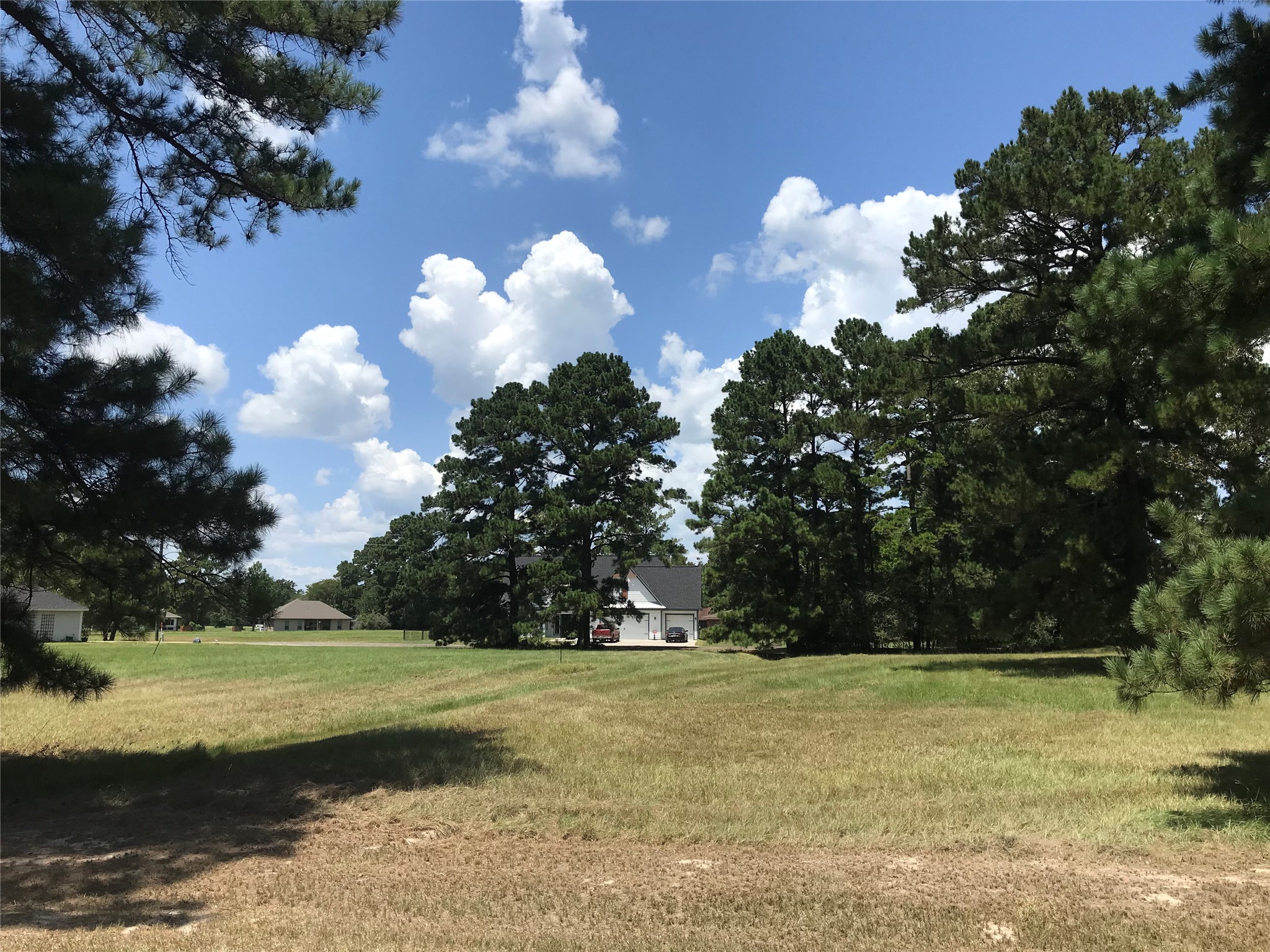 12 Cedar Springs Property Photo 4