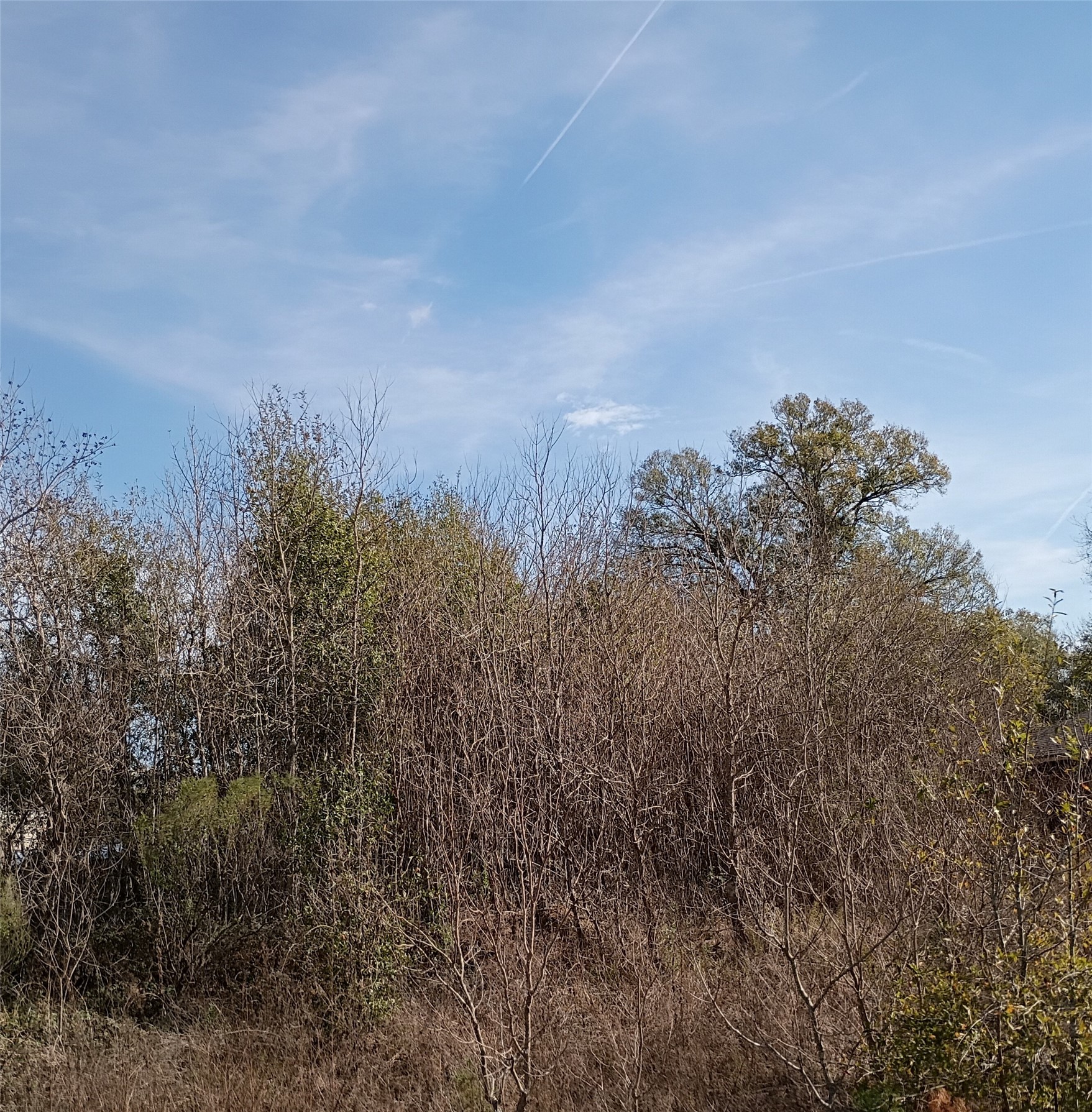425 County Road 5041 Property Photo 8
