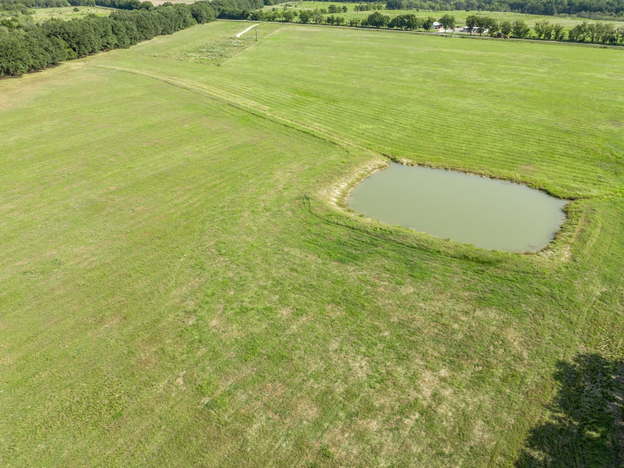 Tbd County Road 155 Property Photo 3