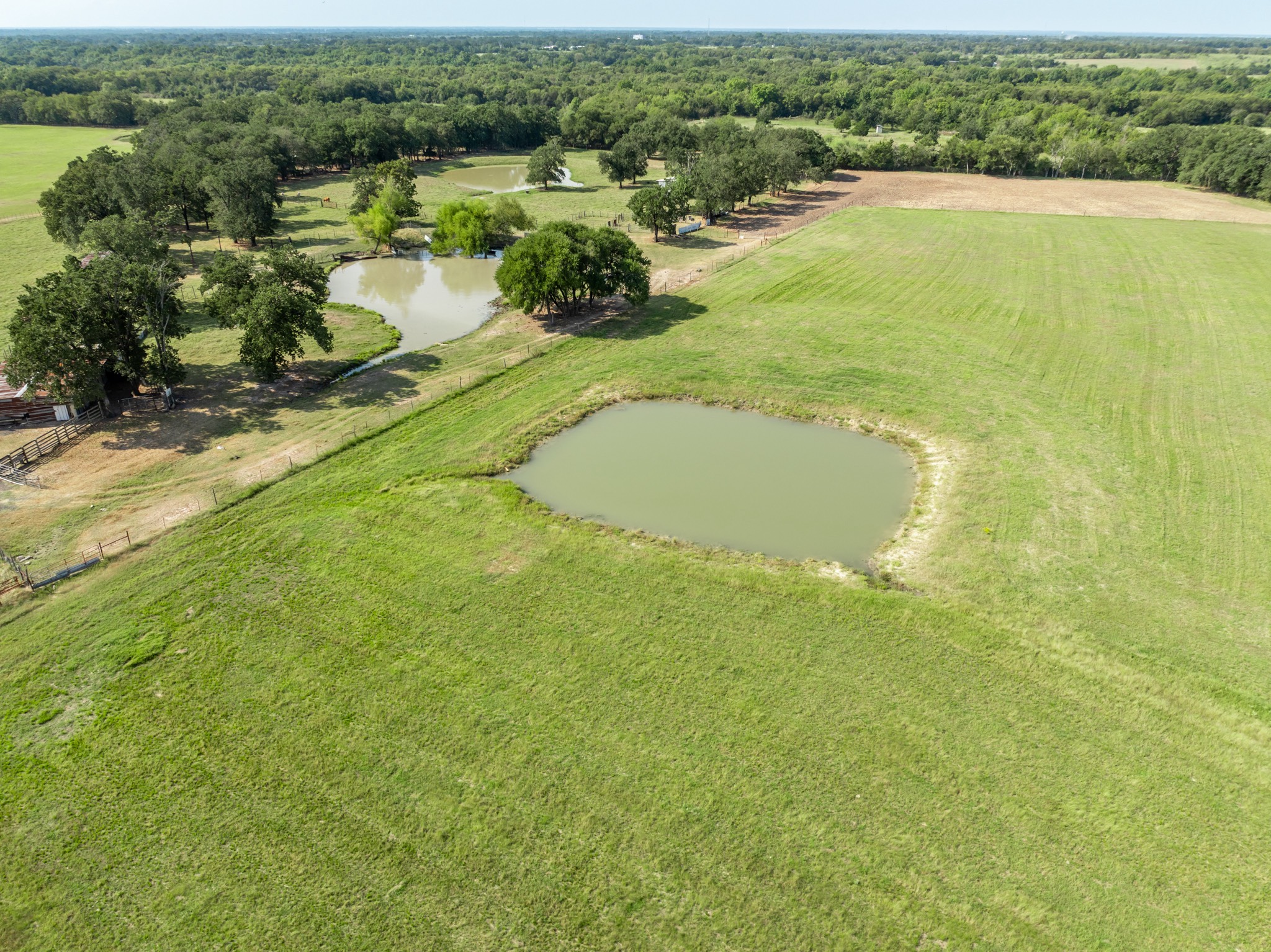 Tbd County Road 155 Property Photo 10