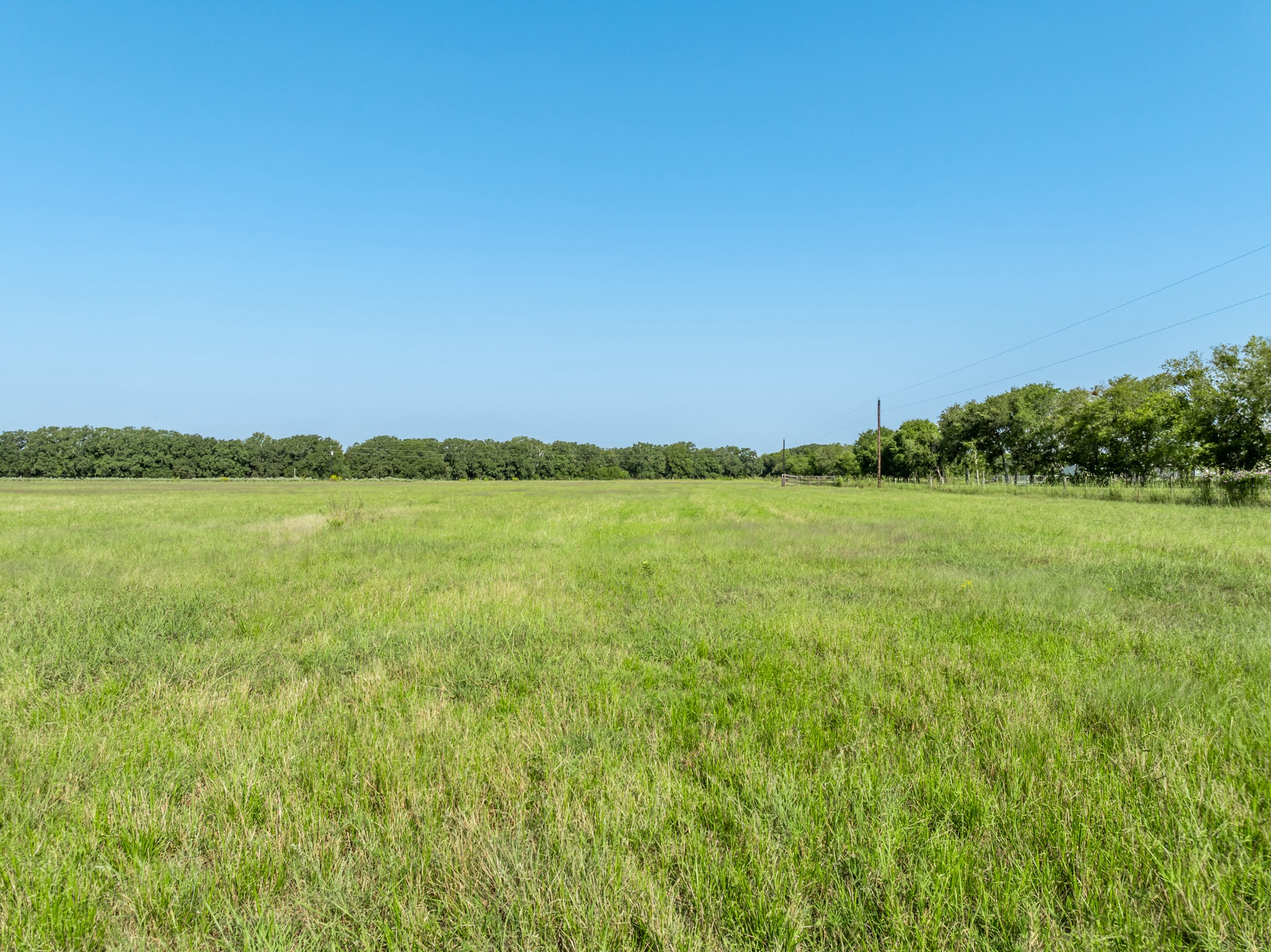 Tbd County Road 155 Property Photo 13